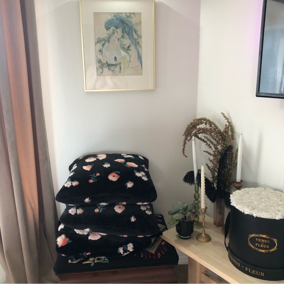 SALE✅ Anthropologie Set (Plush Blanket and Pillow ) - Picture 1 of 4